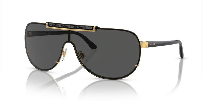 VERSACE SUNWEAR VE2140