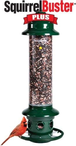 Brome,Squirrel Buster Plus 6"x6"x28" (w/hanger) Wild Bird Feeder with Cardinal Ring and 6 Feeding Ports, 5.1lb Seed Capacity, 1 Pack