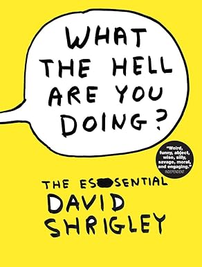 What the Hell Are You Doing?: The Essential David Shrigley