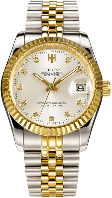 Holuns Mens Full Gold Watch Automatic Mechanical
