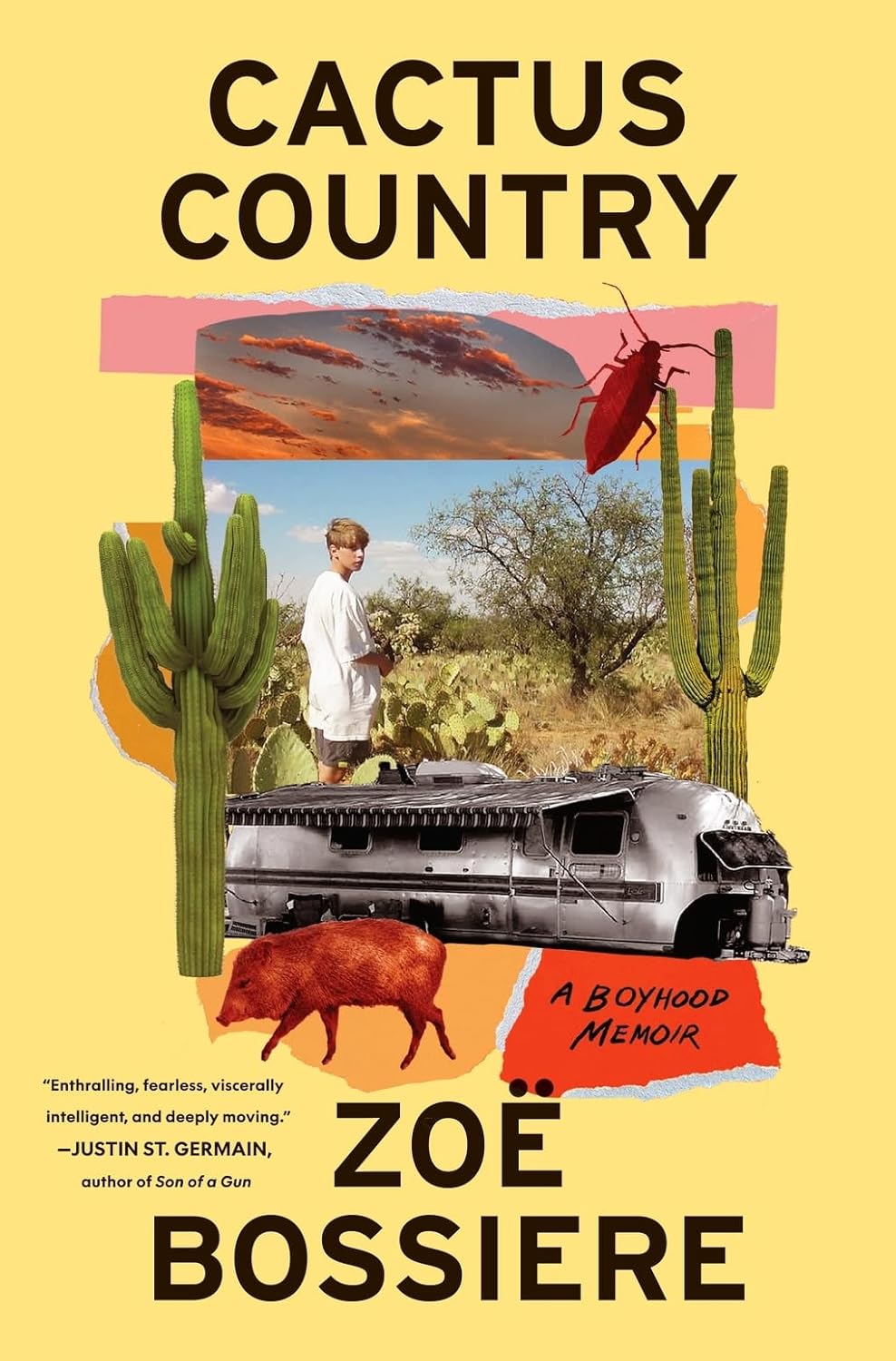 Cactus Country: A Boyhood Memoir Hardcover by Zoë Bossiere
