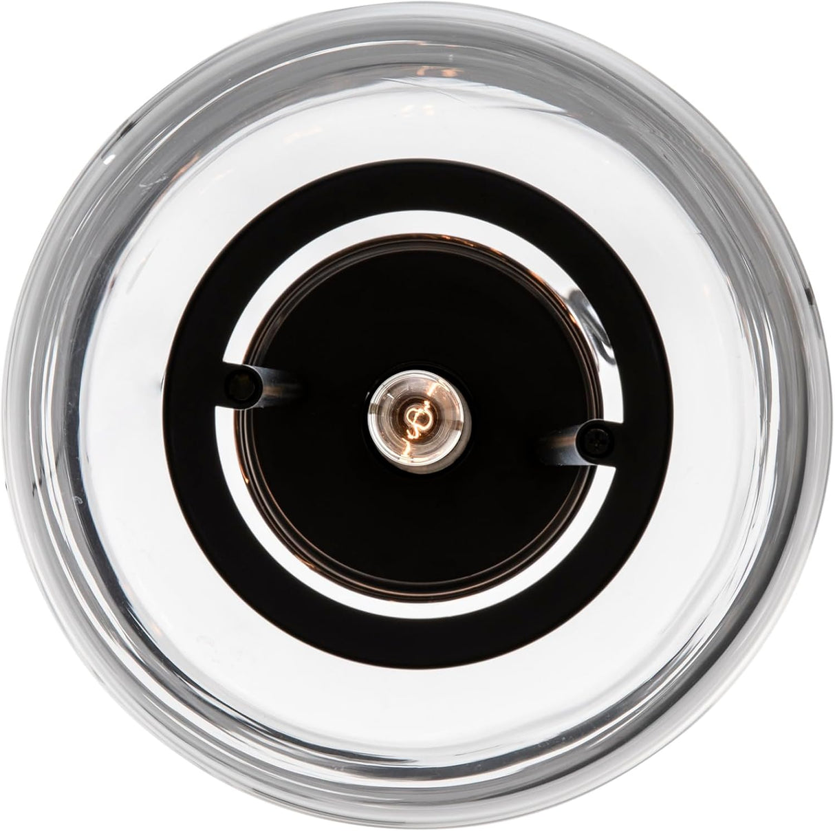 Trans Globe Lighting Regalia 9" Wide Mini Pendant Model: PND-2235 BK