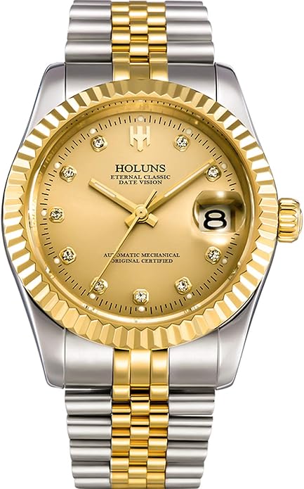 Holuns Mens Full Gold Watch Automatic Mechanical