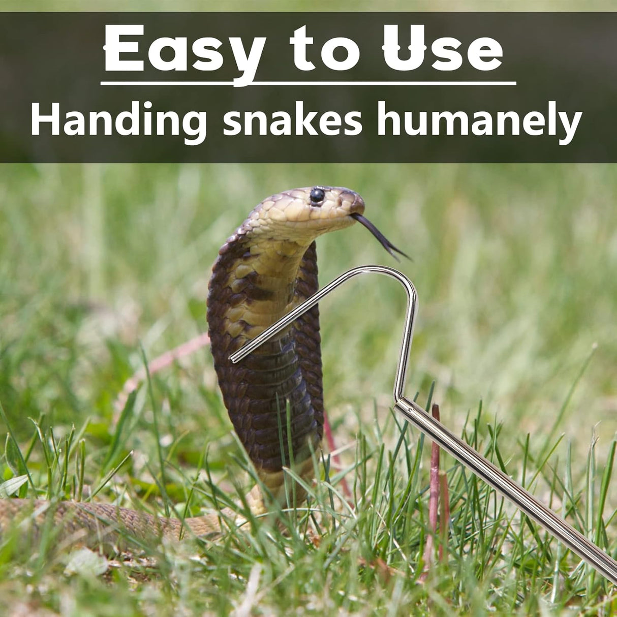 Animal Handling Gloves Bite Proof with 40inch Collapsible Snake Hook