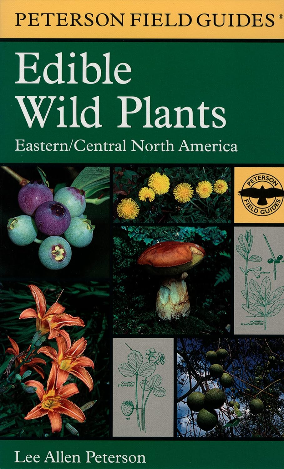Edible Wild Plants: Eastern/Central North America (Peterson Field Guides) Paperback by Lee Allen Peterson (Author), Roger Tory Peterson (Author)