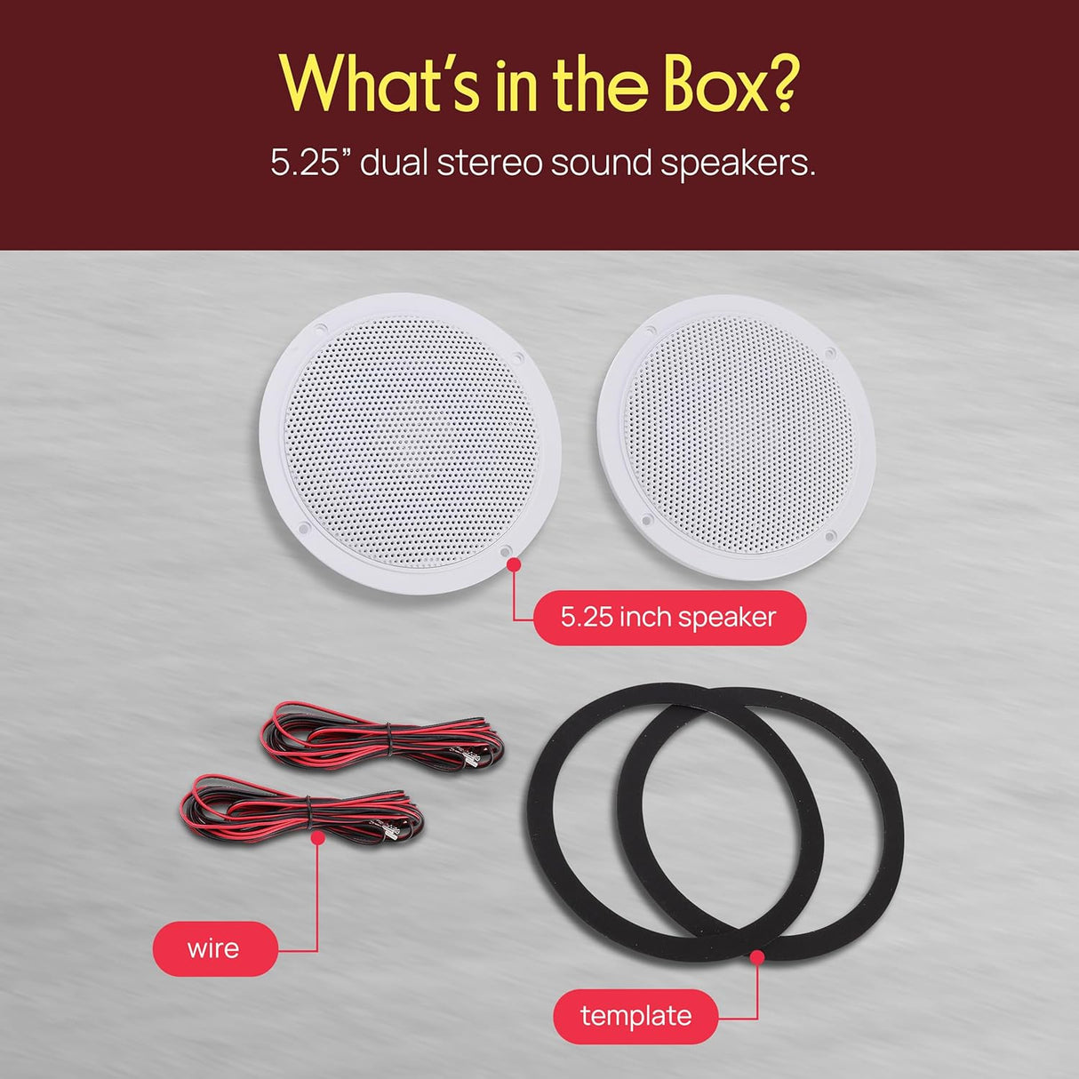 Pyramid MDC6 5.25" Dual Cone Marine Speakers