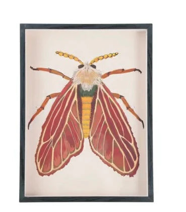 MDF Framed Acrylic Wall Decor with Moth