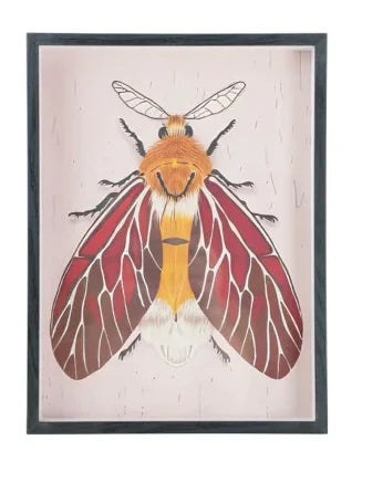 MDF Framed Acrylic Wall Decor with Moth