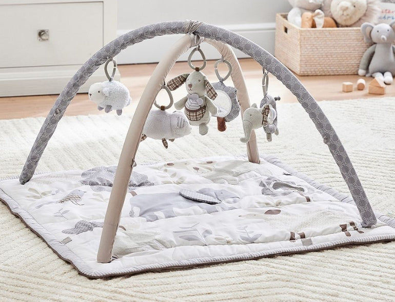 Skip Hop x PBK Animal Friends Classic Activity Gym