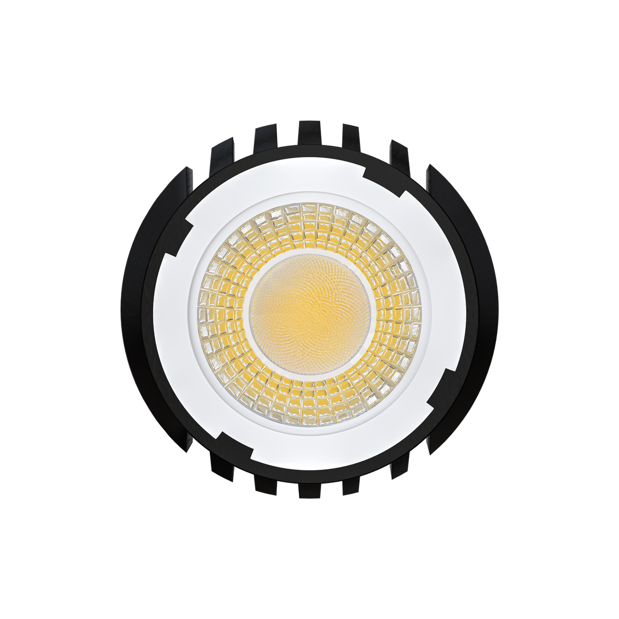 Goodlite 3 Inch 15W HO Interchangeable Module