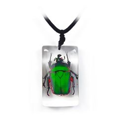 Green Rose Chafer Beetle Rectangle Necklace