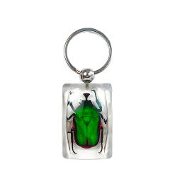 Green Rose Chafer Beetle Keychain