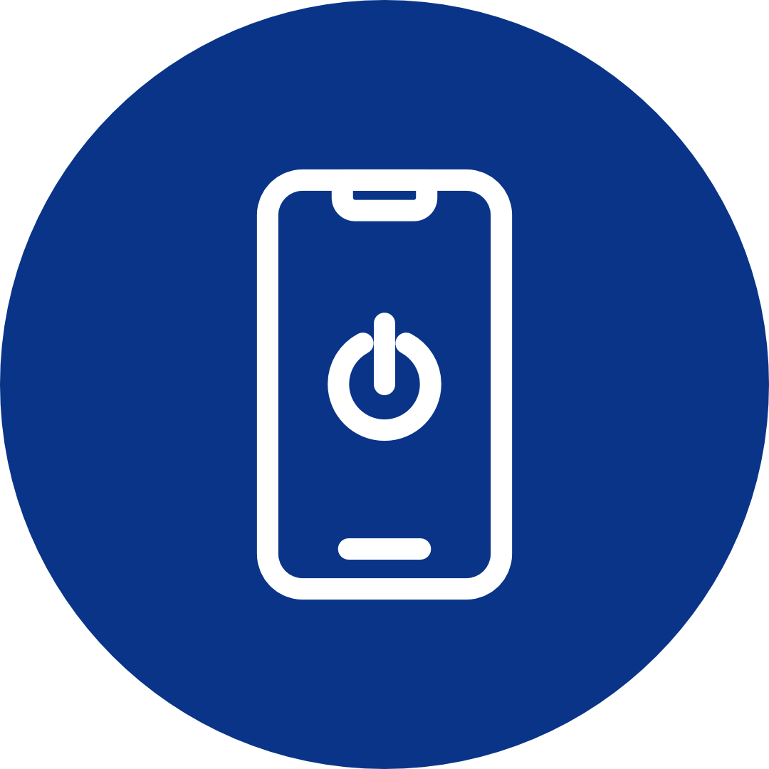 Auction Electronics
