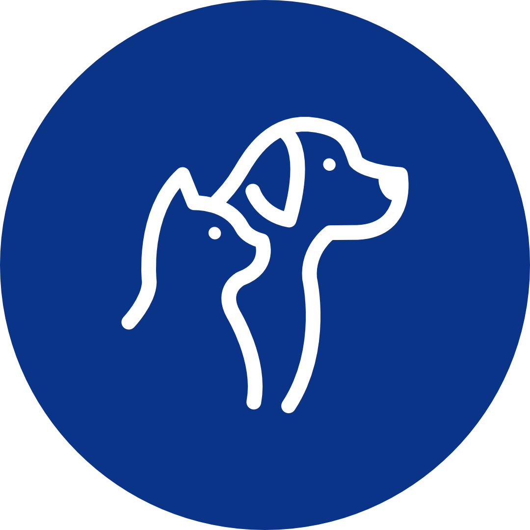 Auction Pet & Pet Supplies