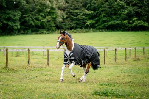 Amigo 1200D 250g Horse Turnout, Black, Titanium Grey, Silver, 81-in