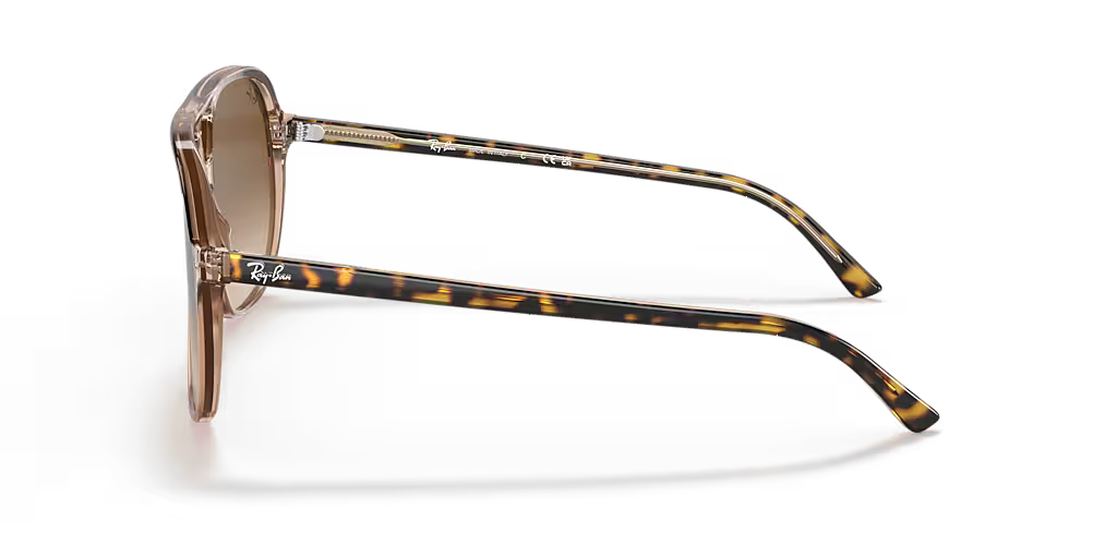 Ray-Ban Frame Tortoise lenses Brown