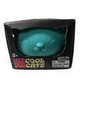 NeeDoh Cool Cats  TEAL