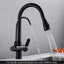 WANFAN Kitchen Sink Faucet with Pull Down Sprayer 2 Handle 3 in 1 Water Filter Purifier Faucets Black 0195R