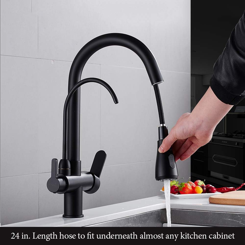 WANFAN Kitchen Sink Faucet with Pull Down Sprayer 2 Handle 3 in 1 Water Filter Purifier Faucets Black 0195R