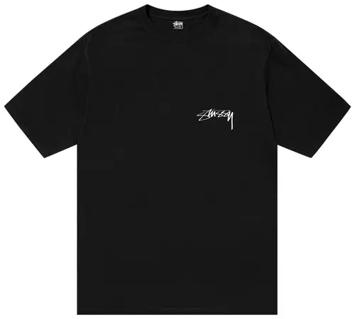 Stussy Arachnid Pigment Dyed Tee 'Black'