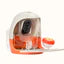 PeckPerk Smart Bird Feeder