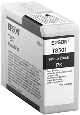 Epson T850100 T850 UltraChrome HD Photo Black