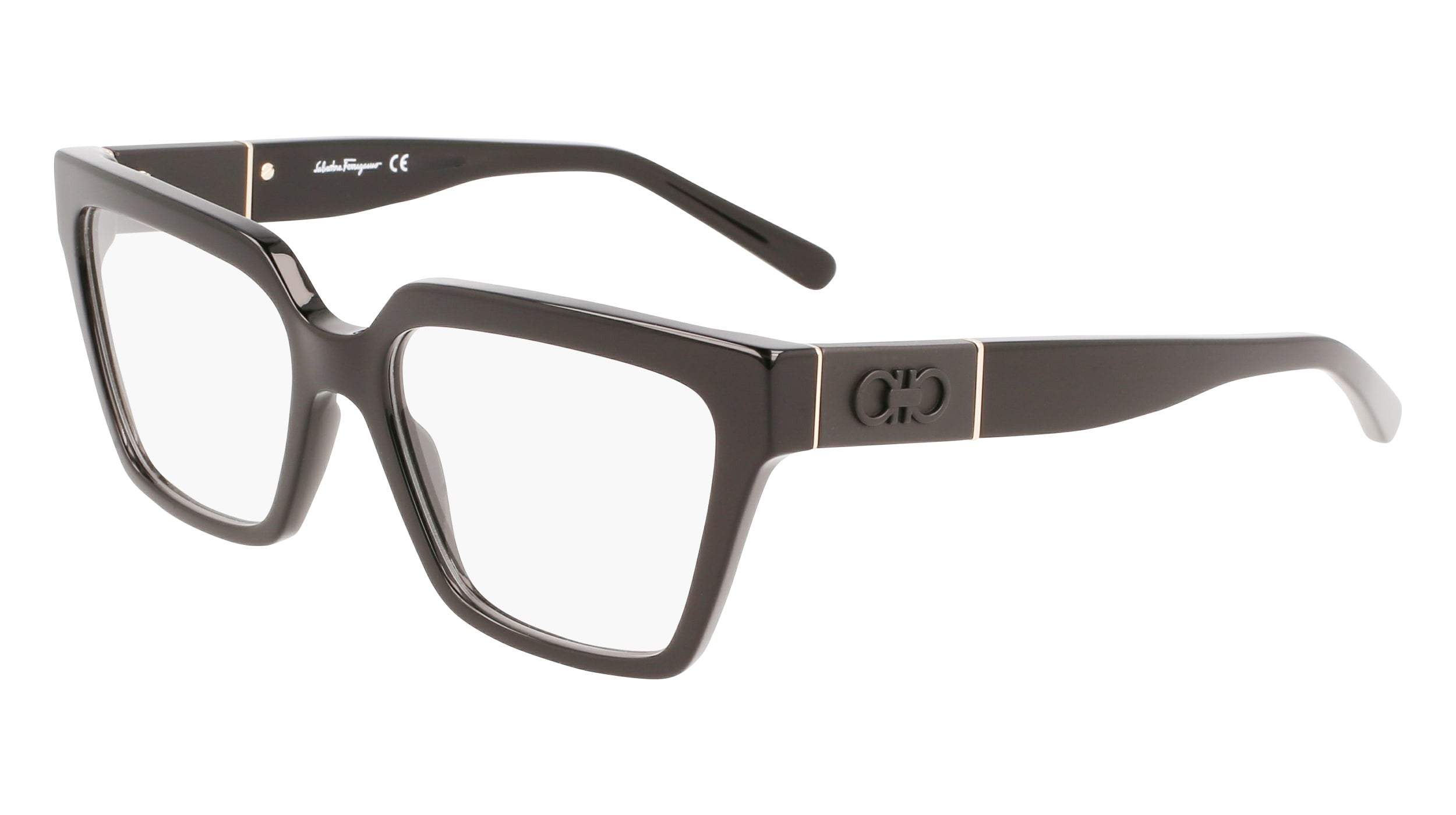 Ferragamo SF2919 Eyeglasses