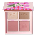 Cheek Buds Full Face Palette by Benefit Cosmetics