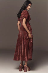 Anthropologie The Katerina Button-Front Dress: Velvet Edition