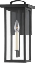 Troy Lighting Eden 14" Exterior Wall Lantern