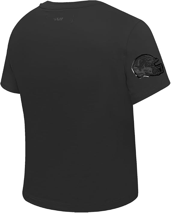 DEROIT LIONS Womens NFL Classic Short Sleeve Slim Tee   MED