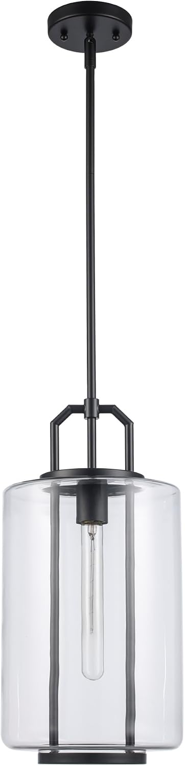 Trans Globe Lighting Regalia 9" Wide Mini Pendant Model: PND-2235 BK