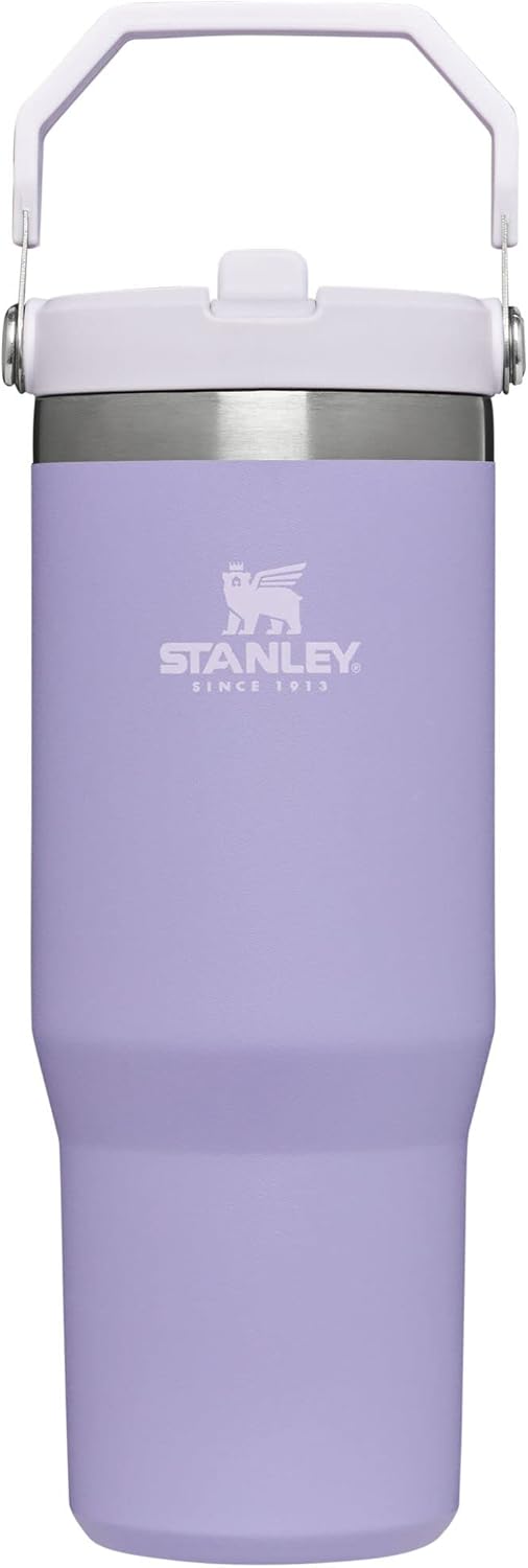 Stanley 30oz Purple Flip Straw Tumbler (New No Box)