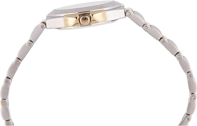 ANNE KLEIN Womens Watch Two Tone Band Gold Silver (NEW, OPEN BOX)