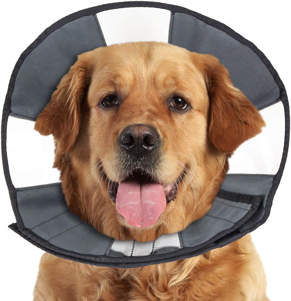 ZenCone Soft Recovery Collar by Zenpet - Size XL