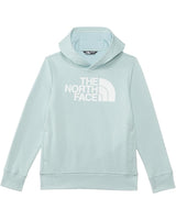 The North Face Women's Half Dome Pullover Hoodie