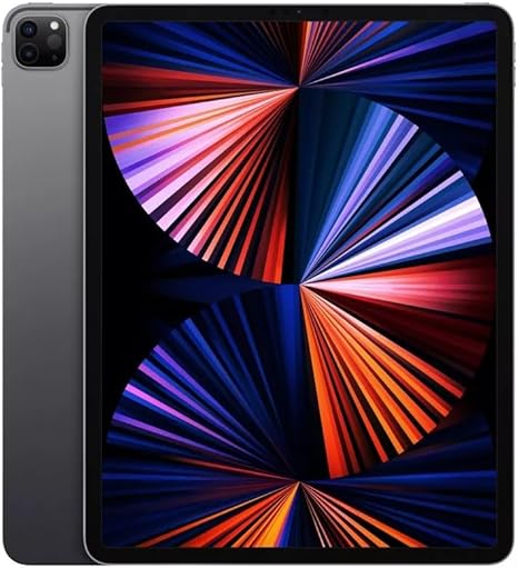 Apple 2021 11-inch iPad Pro (Wi-Fi + Cellular, 256GB) - Space Gray (Renewed)