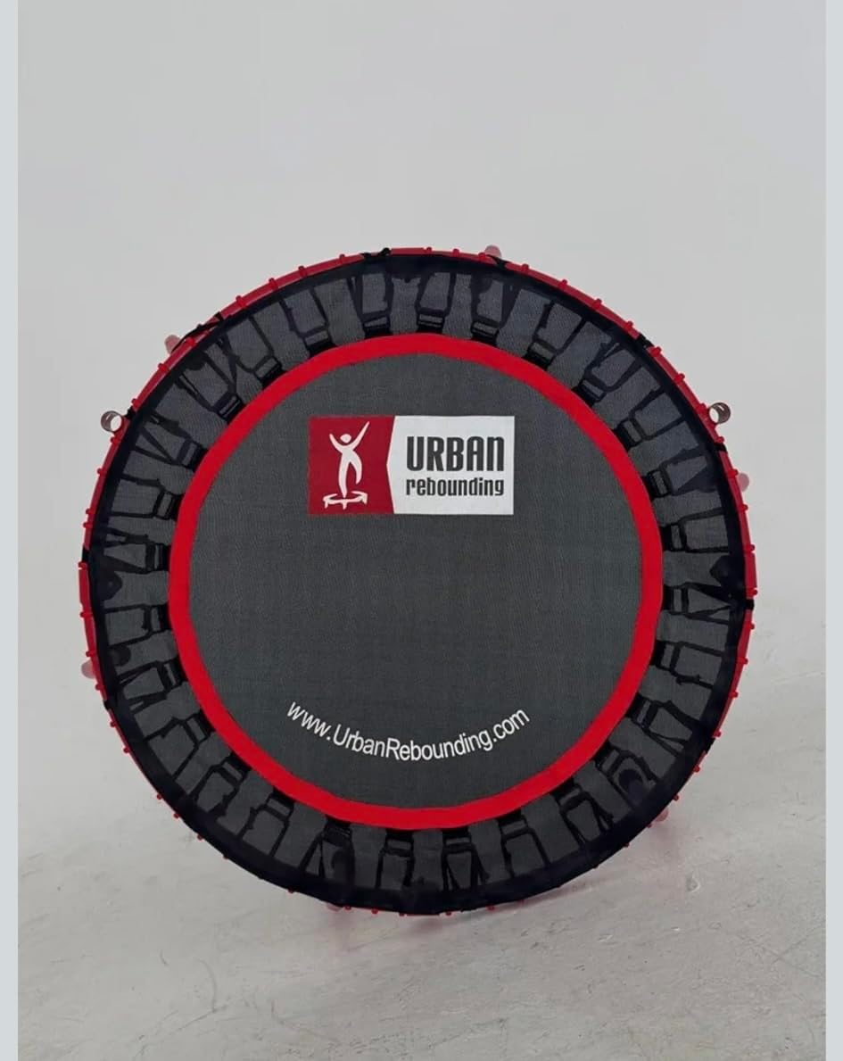 Rebounder Trampoline