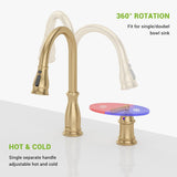 DAYONE Kitchen Faucet Champagne Gold, Stainless Steel Single Handle Kitchen Sink Faucet 3 Modes, Pull Down Faucet for 2 Holes (OPEN BOX)