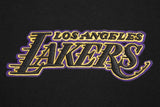 Pro Standard NBA mens Mens Nba Wingspan Fleece Pull Over Hoodie  L.A. LAKERS  XL