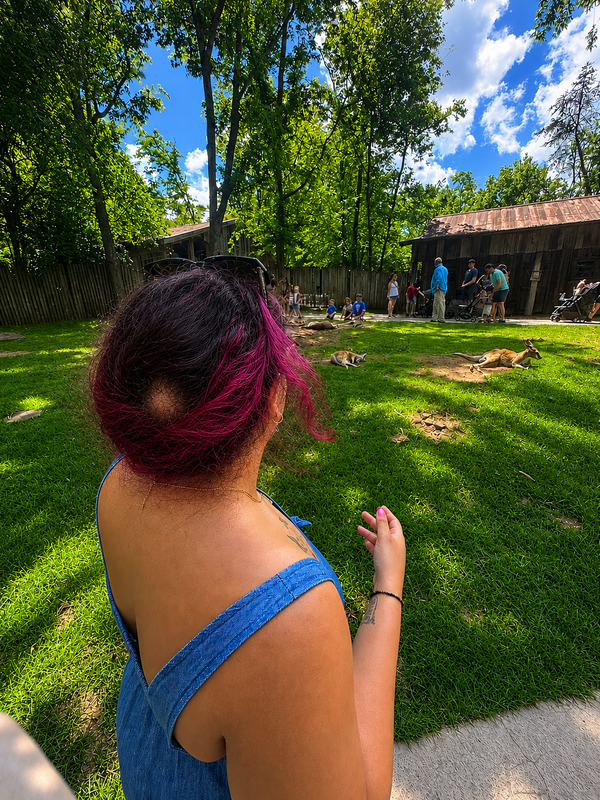 summer