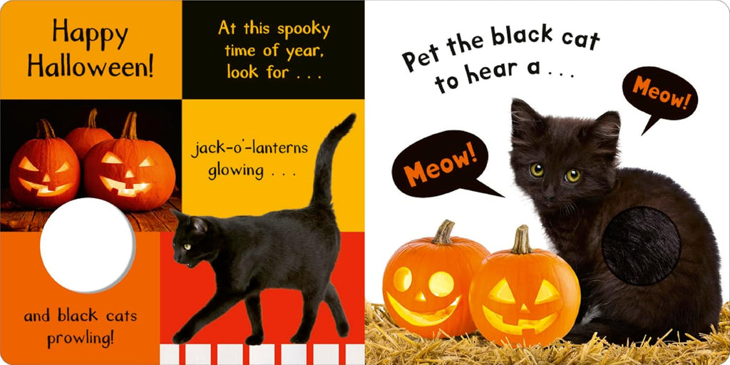 Noisy Halloween: My First Touch and Feel Sound Book by Hettie Cox - Board Book