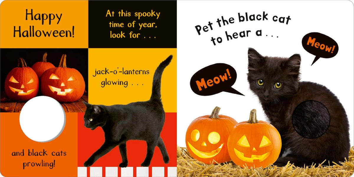 Noisy Halloween: My First Touch and Feel Sound Book by Hettie Cox - Board Book