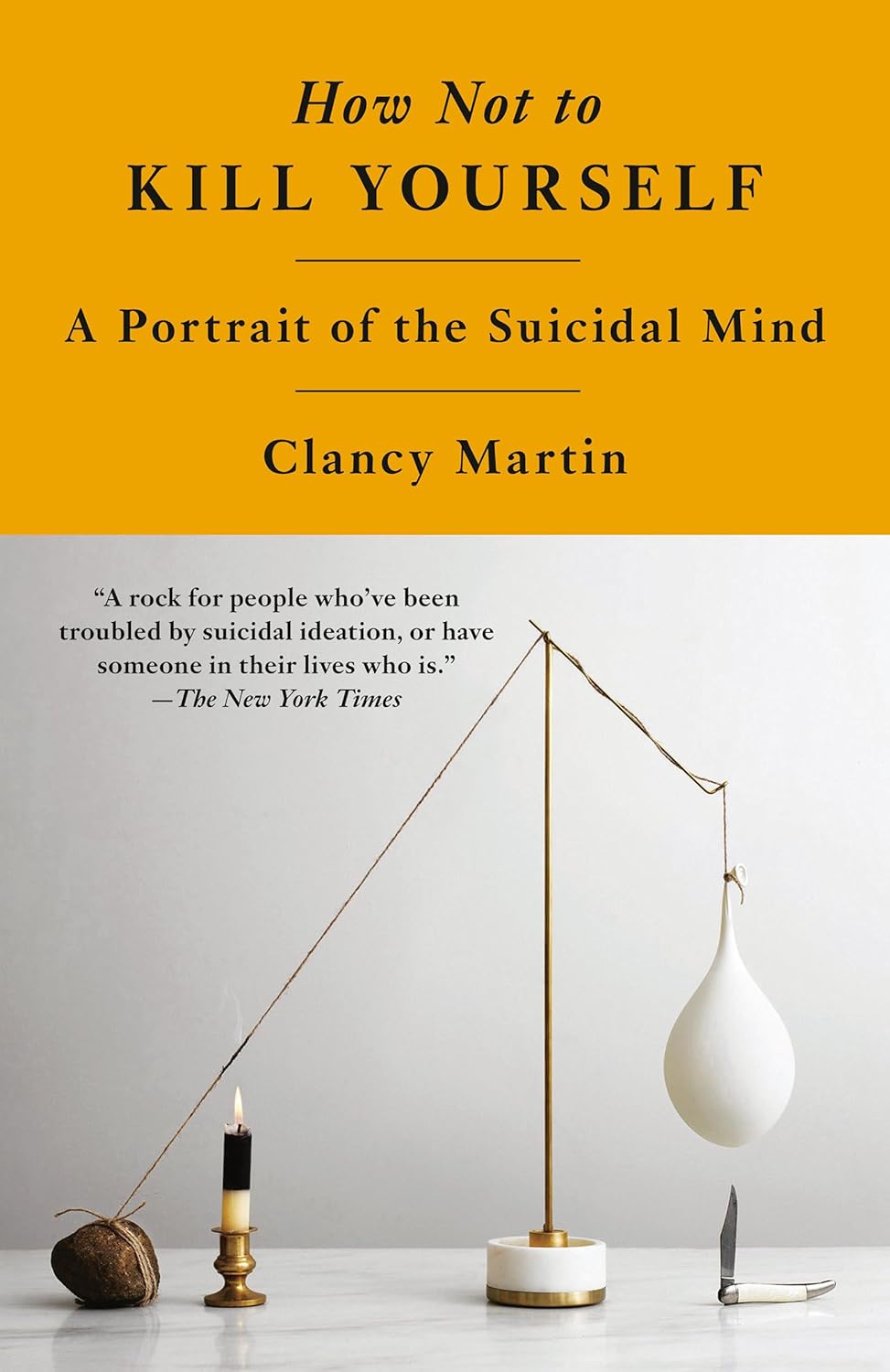 How Not to Kill Yourself: A Portrait of the Suicidal Mind Paperback by Clancy Martin