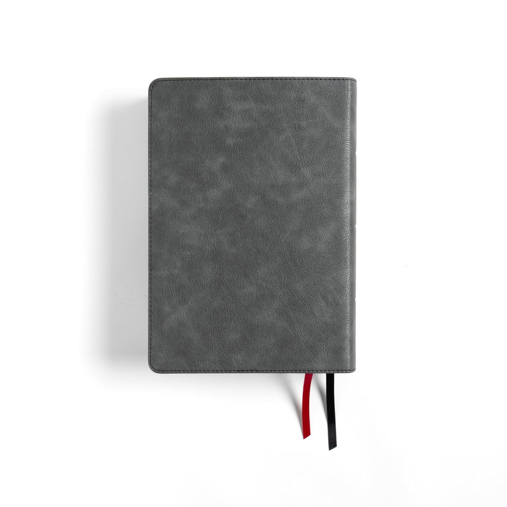 CSB Baker Illustrated Study Bible, Charcoal LeatherTouch, Red Letter, Full Color Interior
