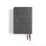 CSB Baker Illustrated Study Bible, Charcoal LeatherTouch, Red Letter, Full Color Interior