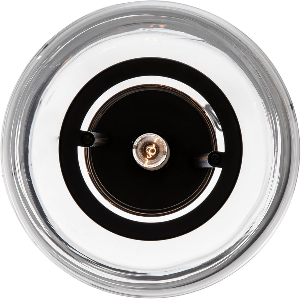 Trans Globe Lighting Regalia 9" Wide Mini Pendant Model: PND-2235 BK