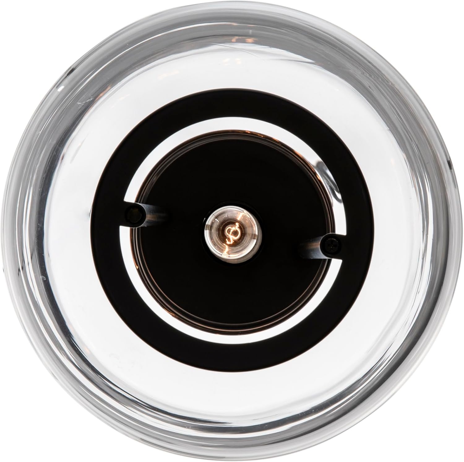 Trans Globe Lighting Regalia 9" Wide Mini Pendant Model: PND-2235 BK