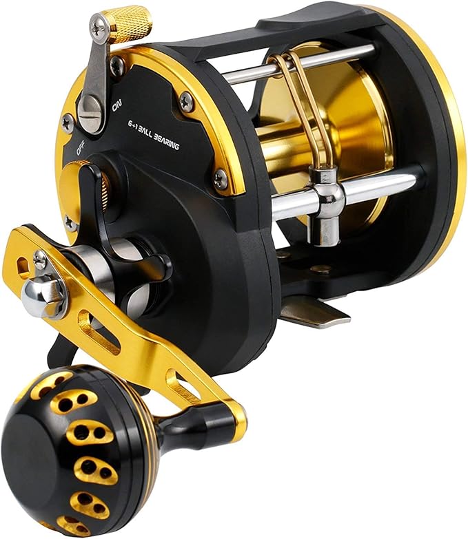 Trolling Reel Saltwater Level Wind Reels, Drag Reels Boat Fishing Ocean Fishing for Sea Bass Grouper Salmon