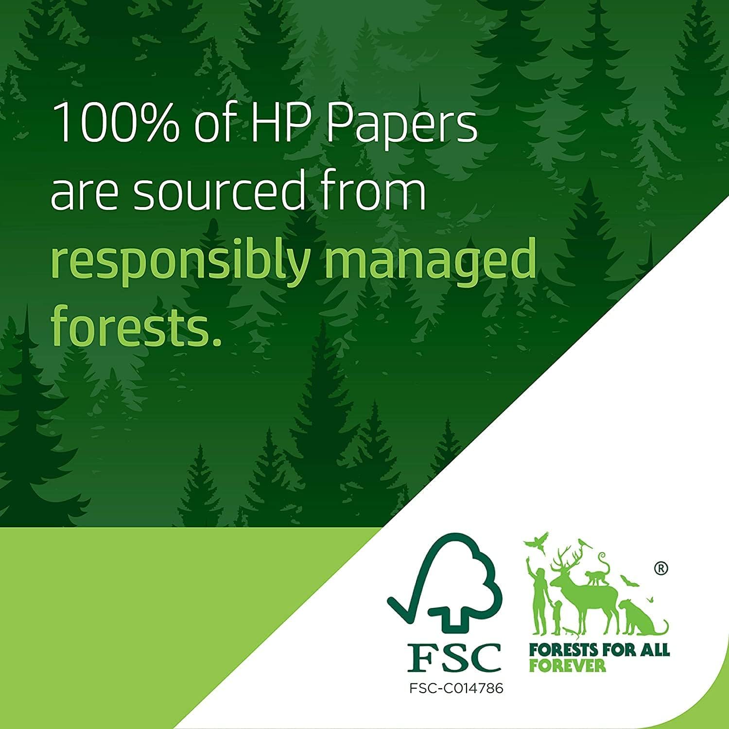 HP Bright White Inkjet Paper (24 in x 150 ft)